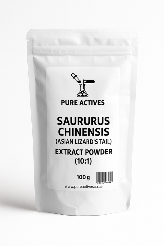 White packaging of Saururus Chinensis extract powder with branding on a white background
