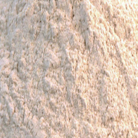 Panax Ginseng Extract Powder Canada